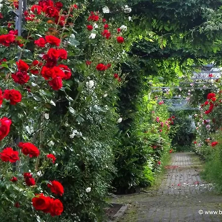 מלון Kloster Maria Hilf 3*