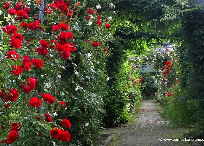 מלון Kloster Maria Hilf 3*